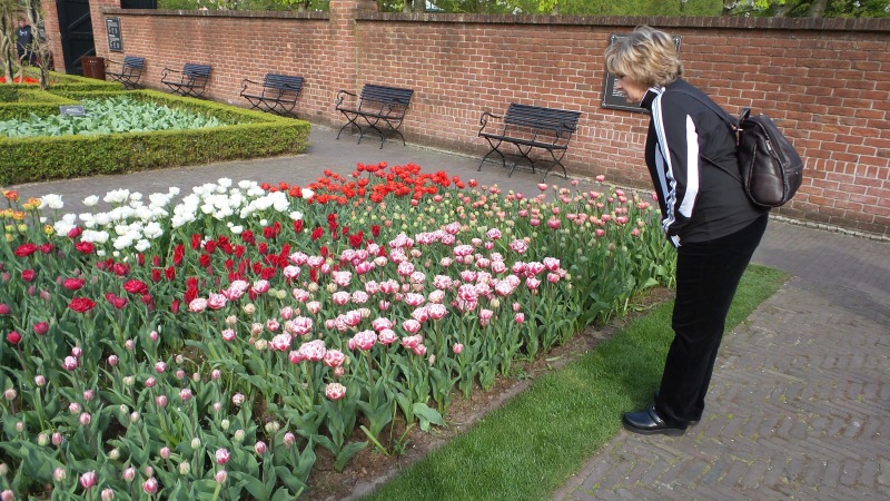 2014-04-17 Holland Tulips 10.jpg